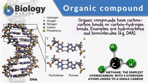 organic molecule definition